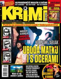 Krimi Revue 11/2020