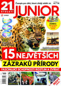 Junior 3/23