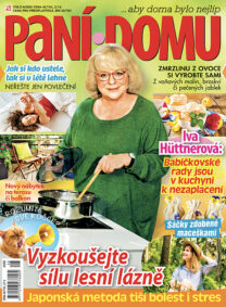 Časopis Paní domu