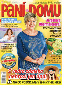 Paní domu