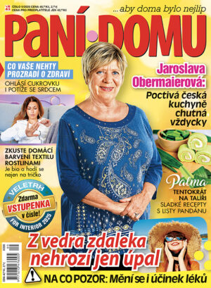 Paní domu