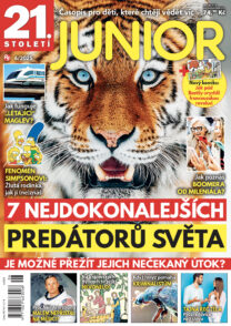Junior