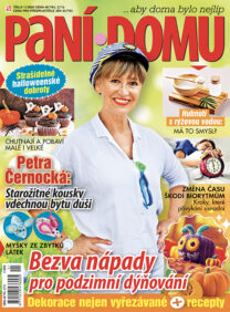 Paní domu