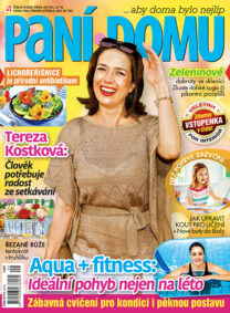 Časopis Paní domu
