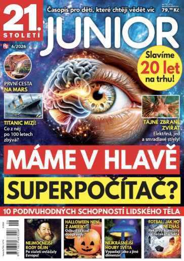 Junior
