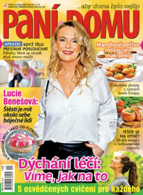 Paní domu 11/2026